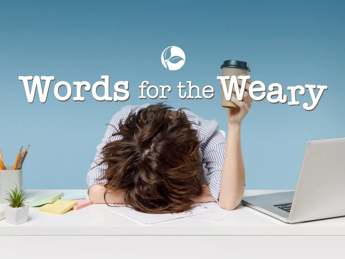 Words for the Weary