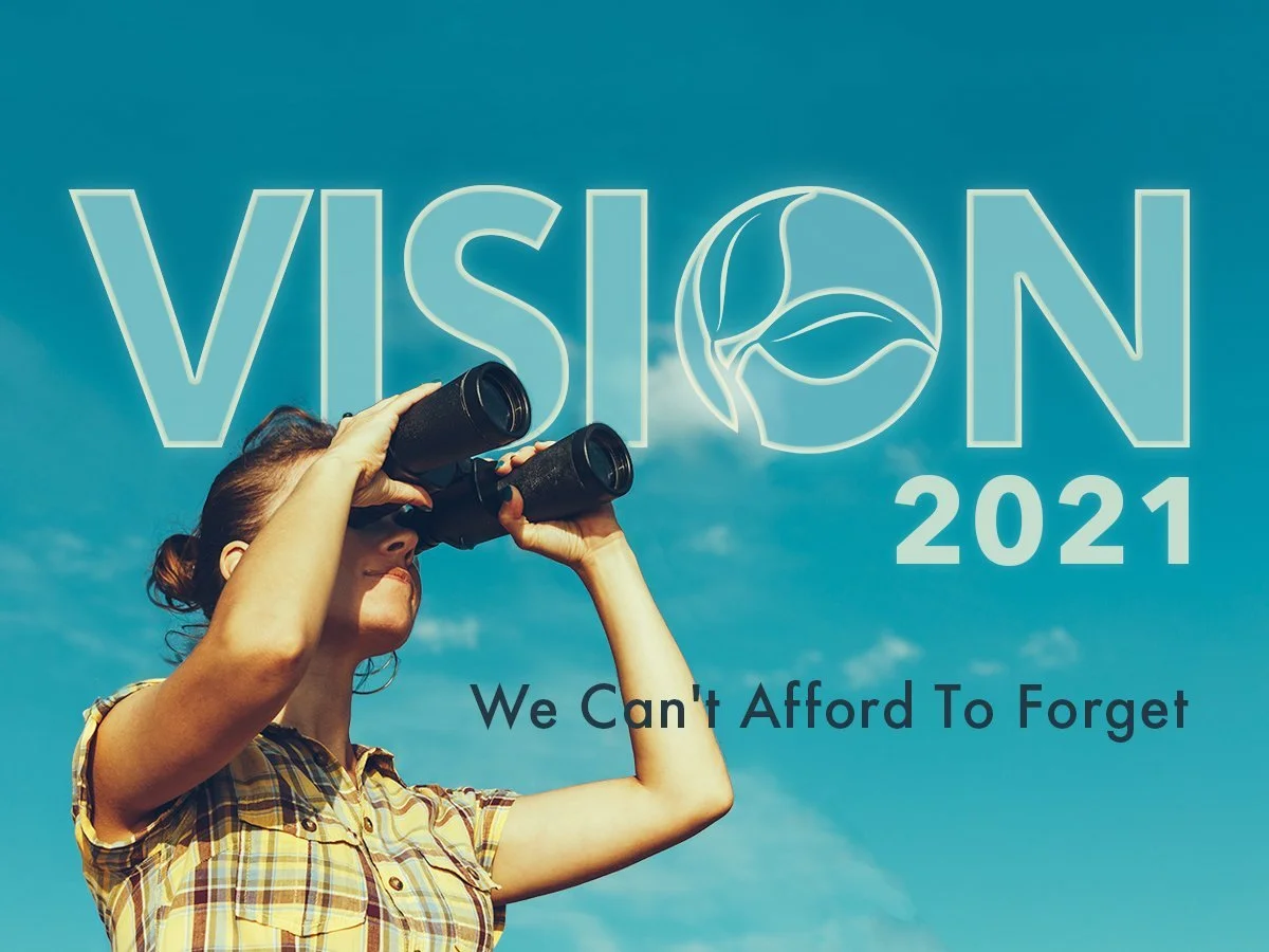 Vision 2021