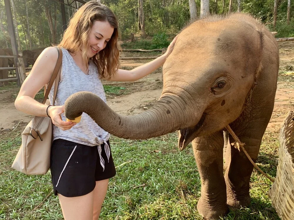 Chapter 96: Bardo, An Ant, and an Elephant