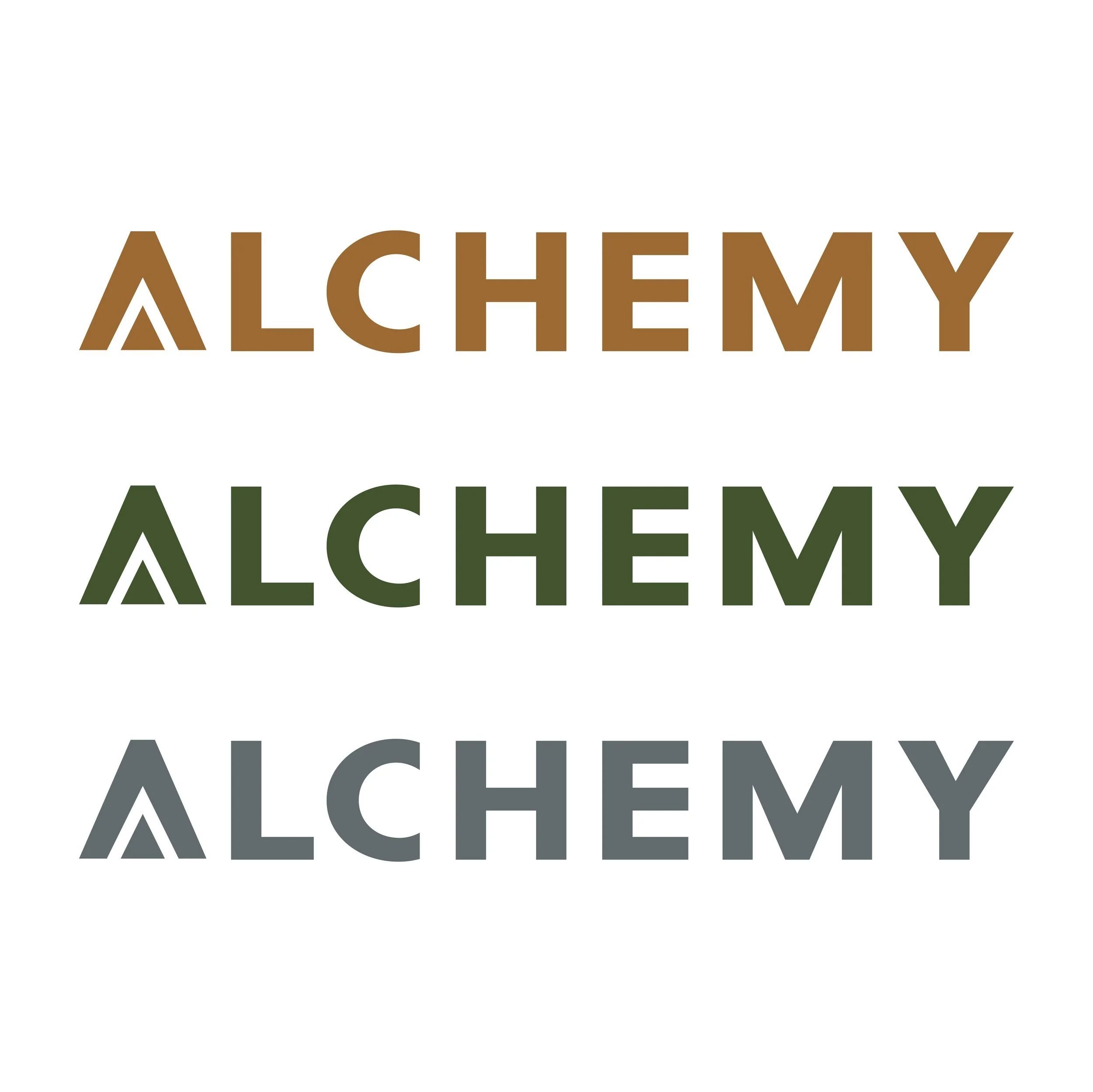 Alchemy Project Images-09.jpg