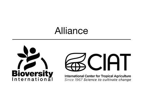 Alliance Biodiversity-CIAT_.jpg