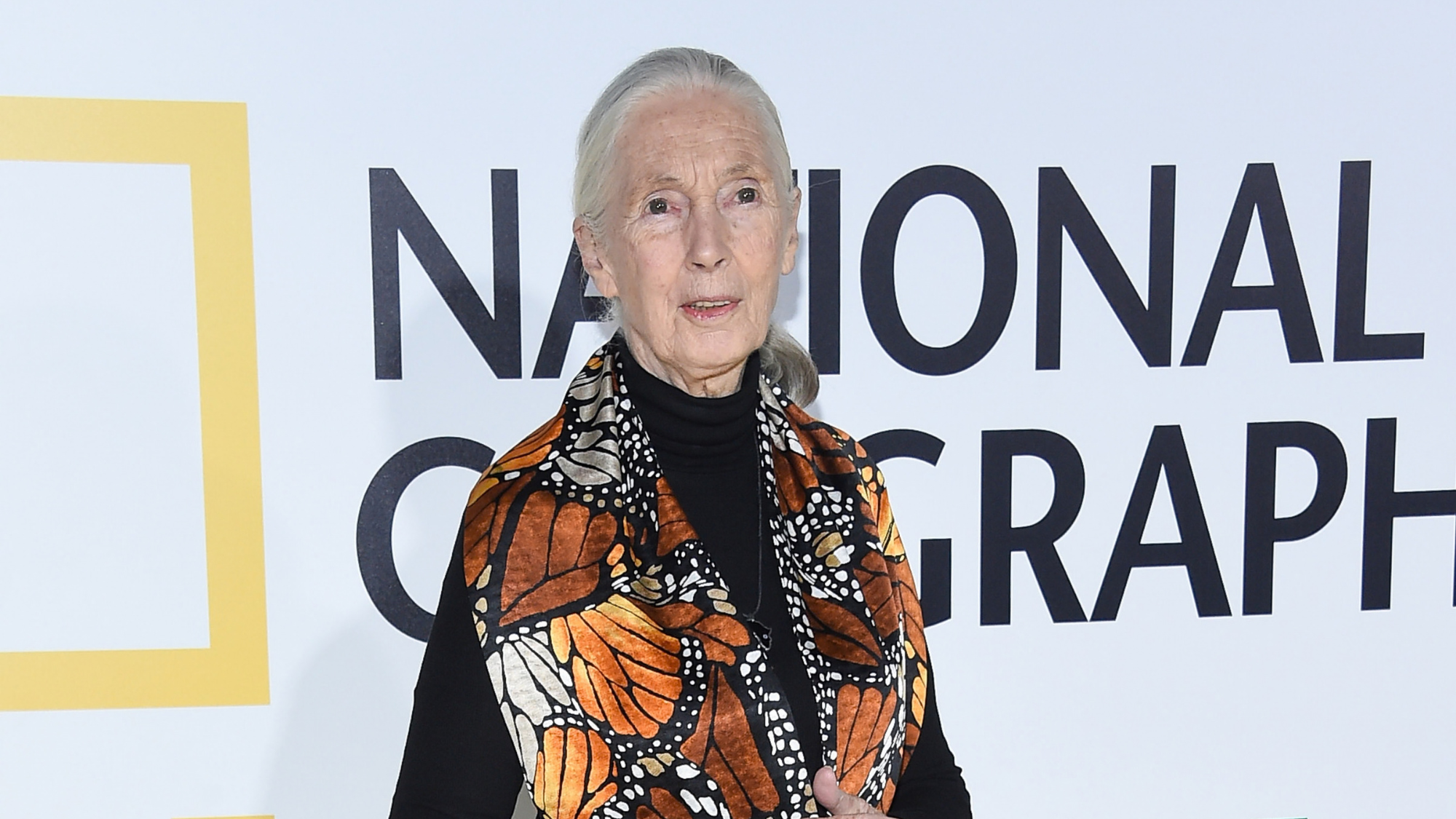 Huffman Travel photo of Jane Goodall