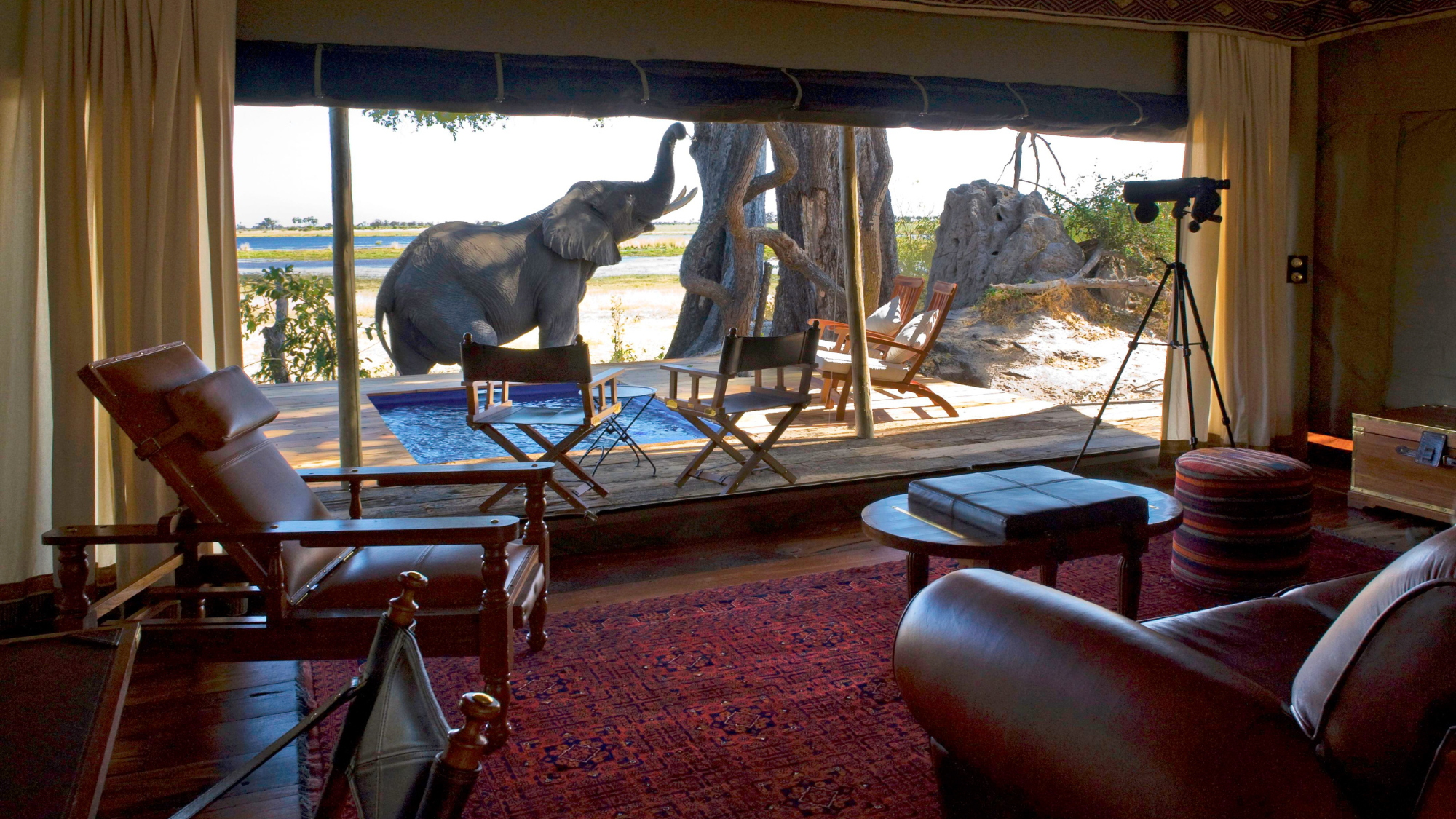 Huffman Travel - Micato image of elephant outside of  Zarafa Dhow Suite, Selinda Reserve, Botswana