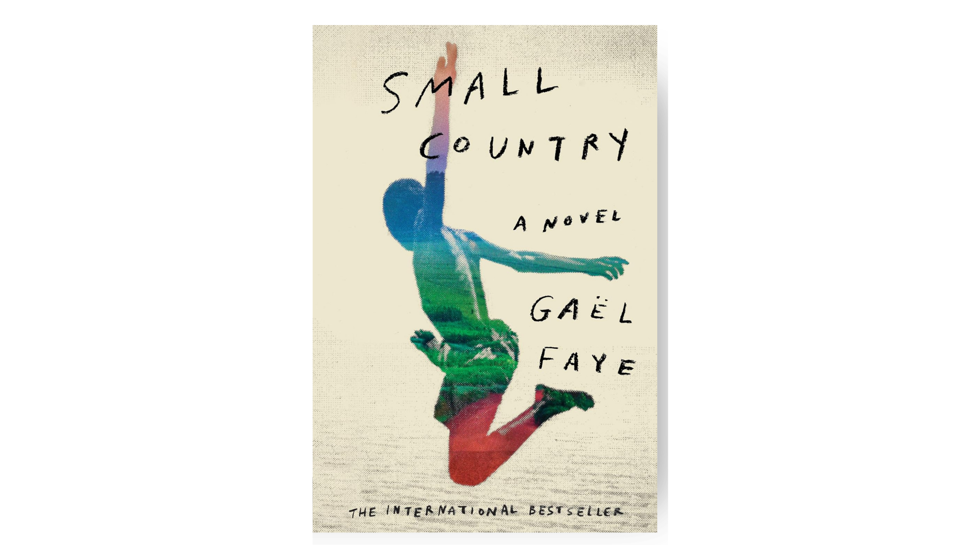 Huffman Travel - Image of  Small Country by Gaël Faye