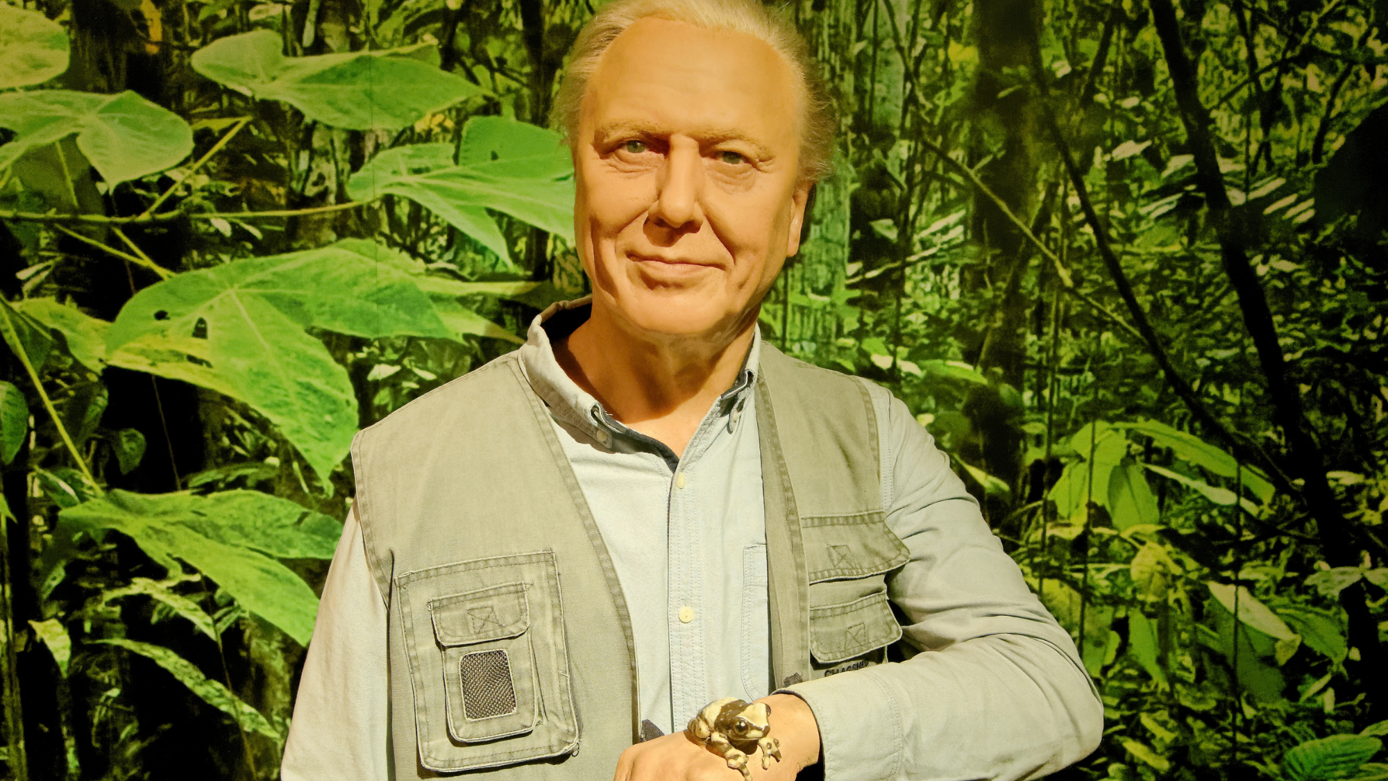 Huffman Travel photo Sir David Attenborough