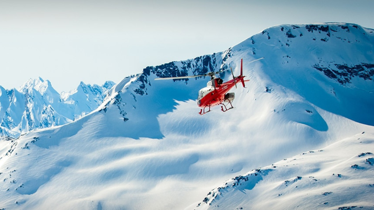 5 Alaska Cruise Excursion Ideas: Wildlife, Scenery, &amp; More