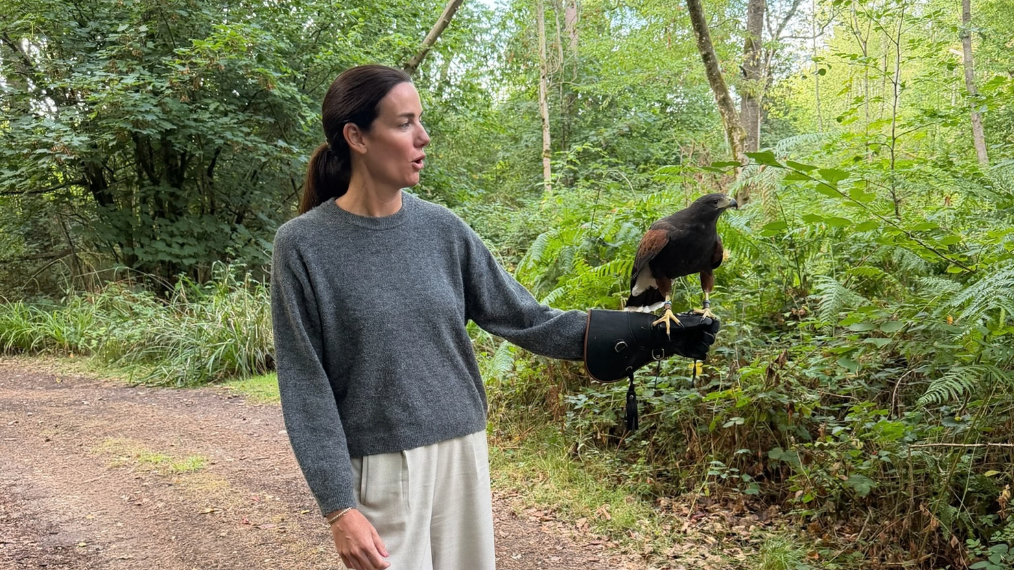 Chrissy Stephens - A Hawk, A Glove, and Me
