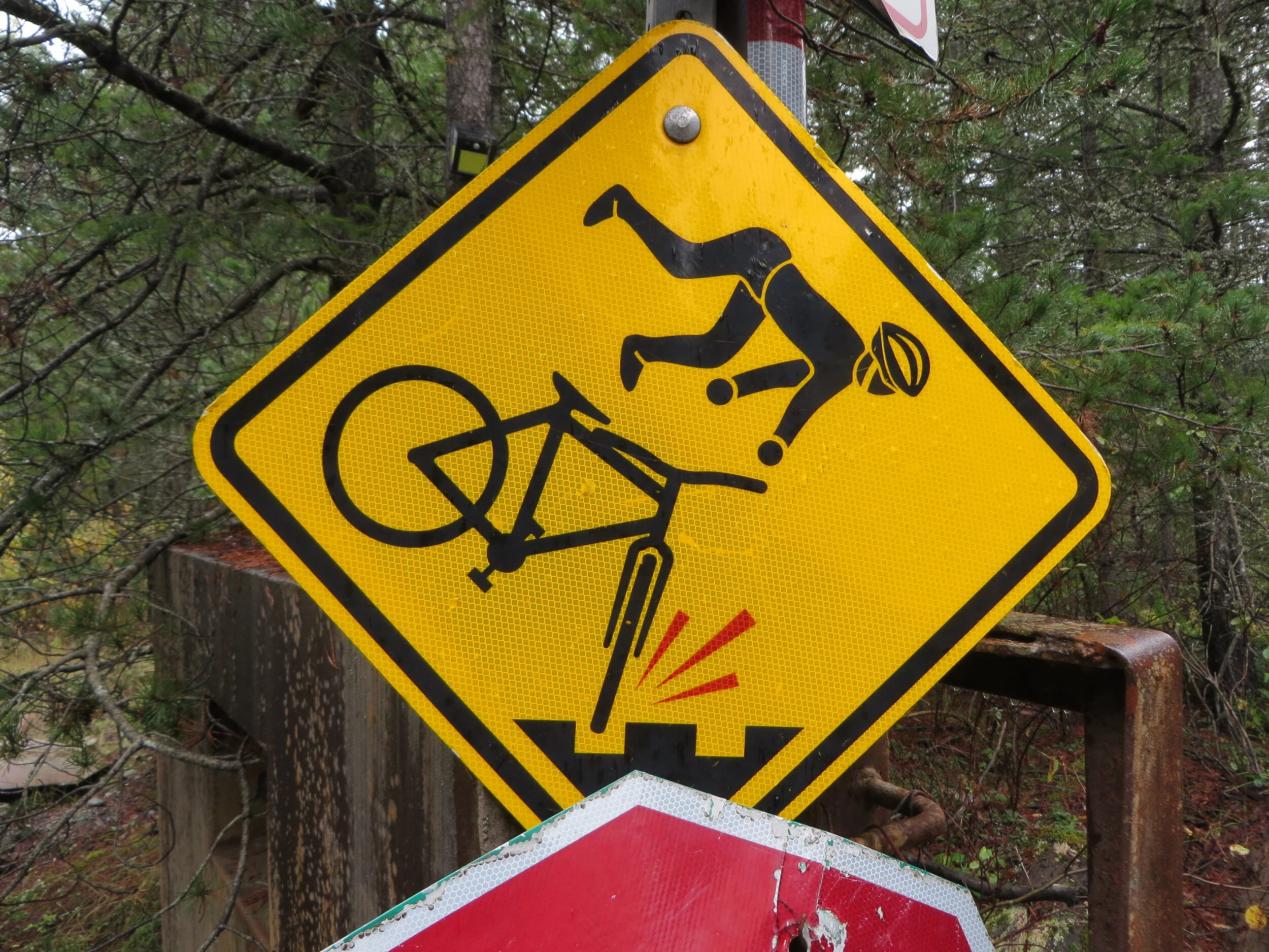 It's a sign, by Tamsin