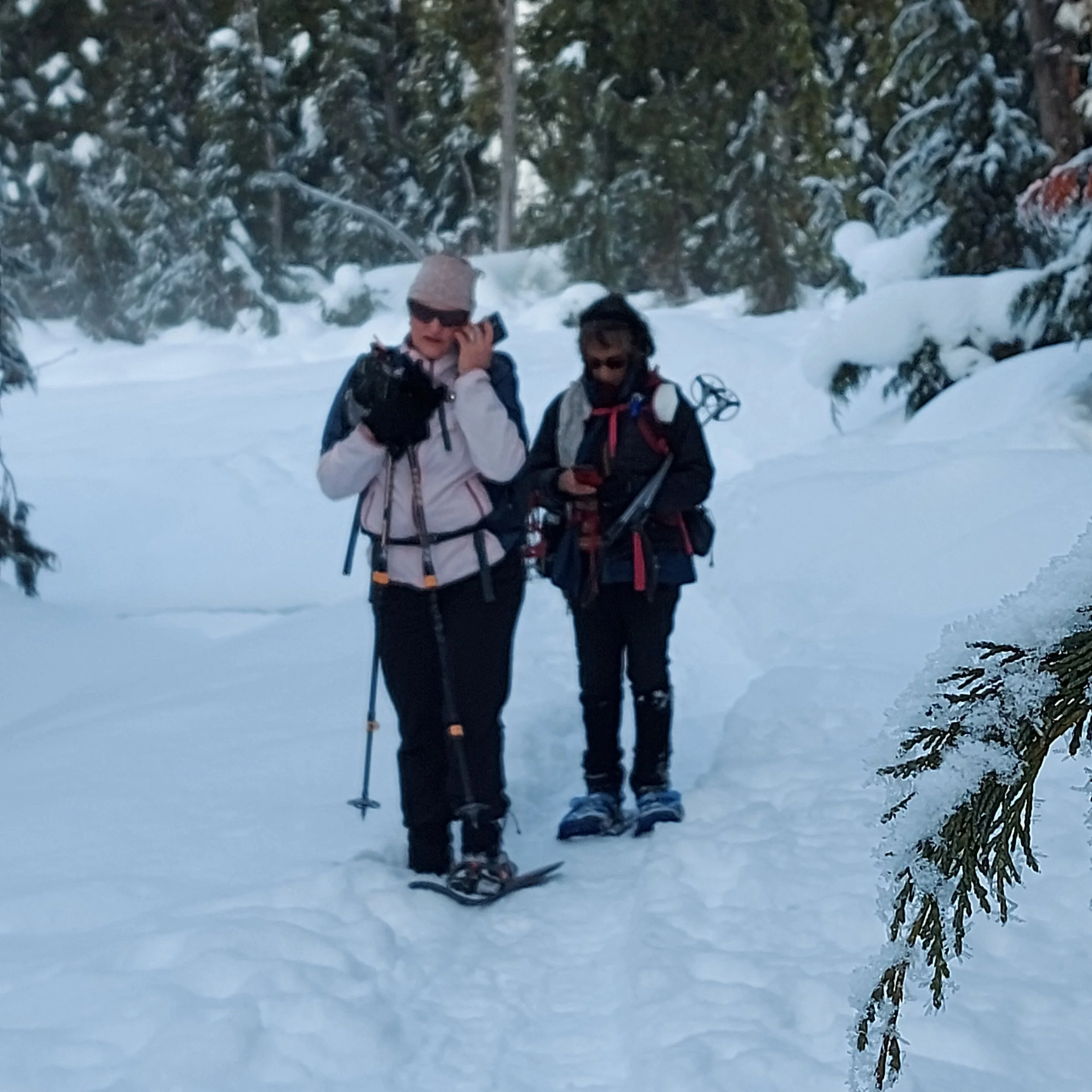 Not so far from civilisation by Louise