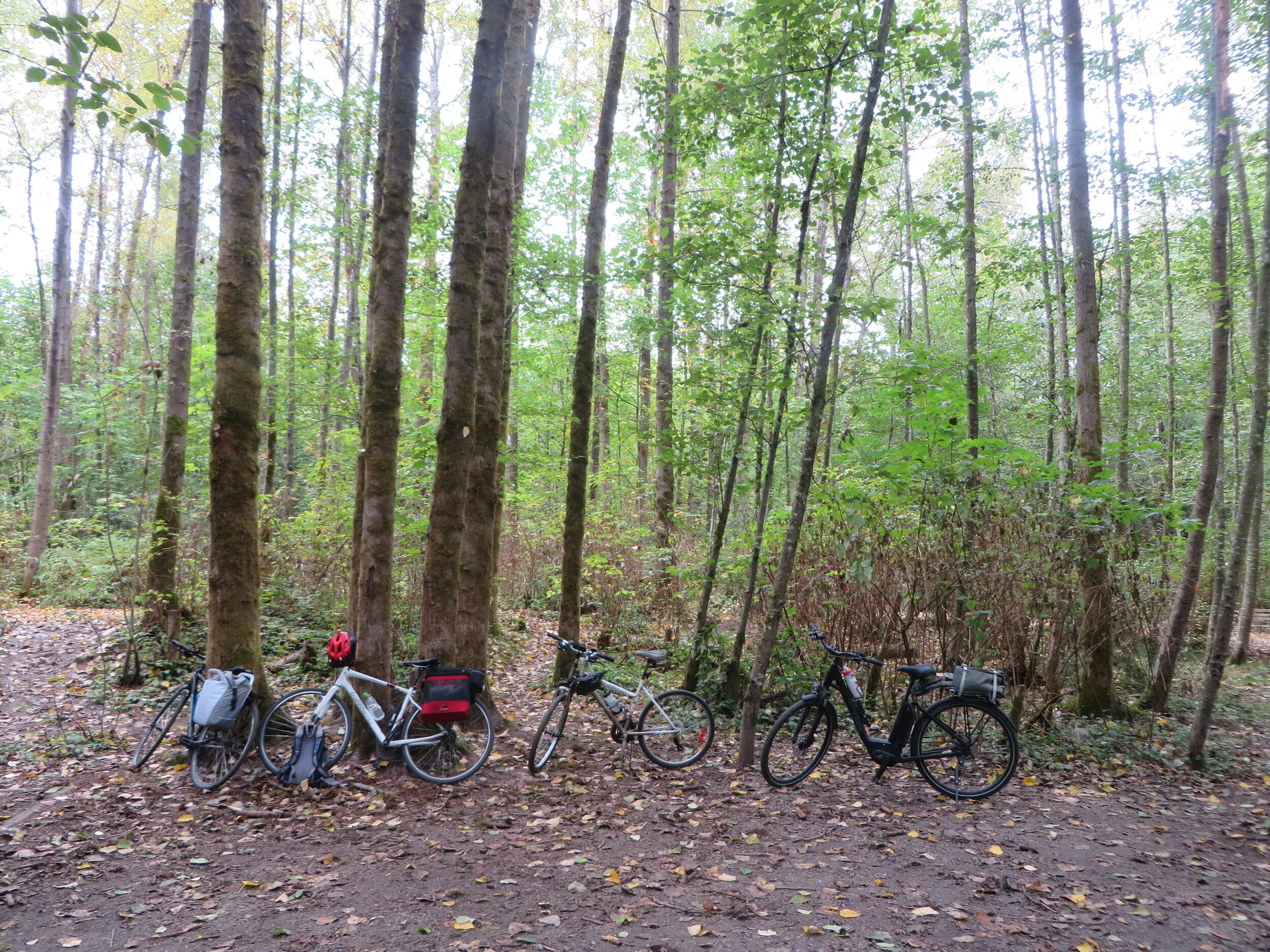 Bike trip to Camosun Bog, September 2020