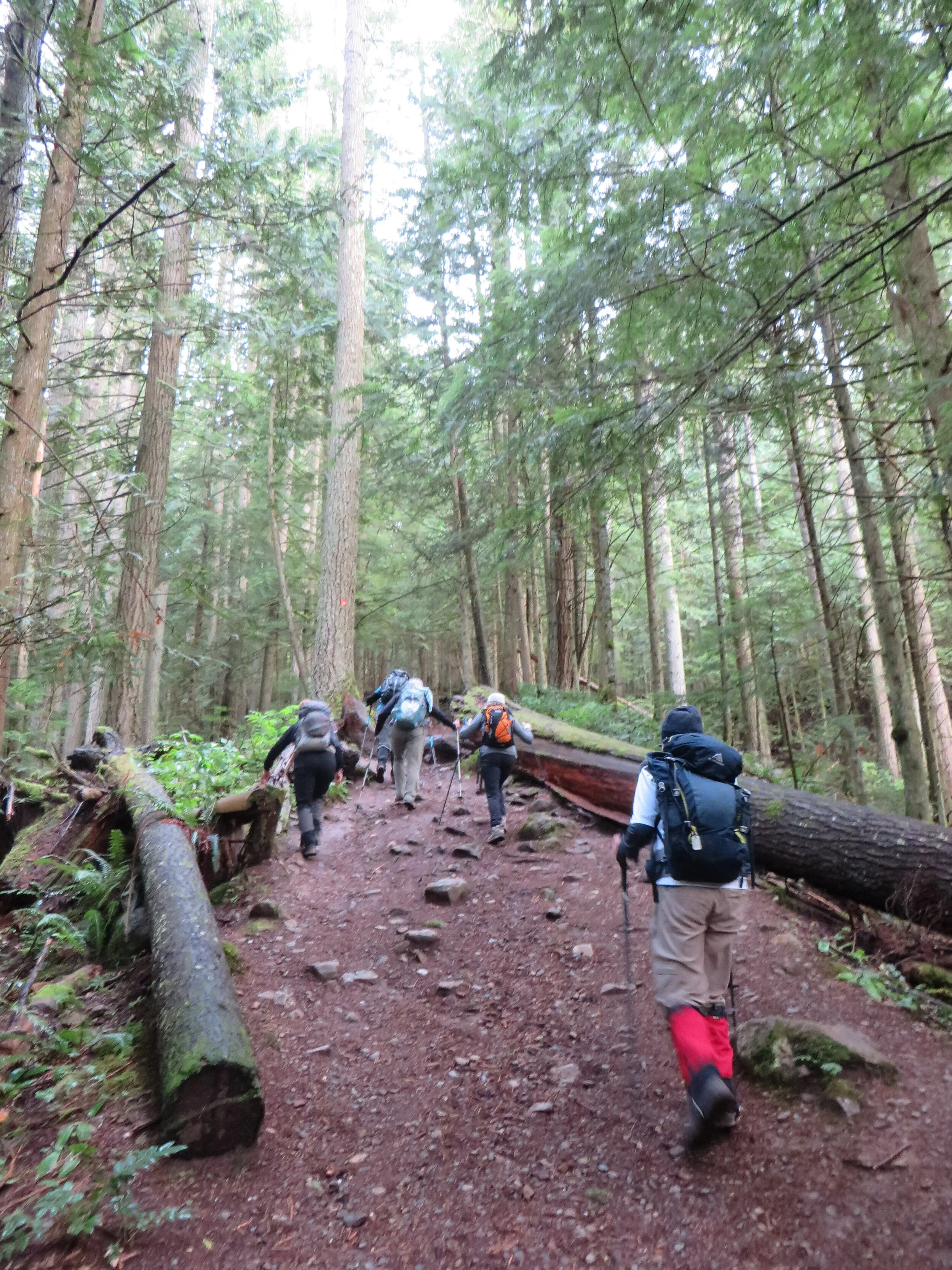 Elk Mountain, September 2020