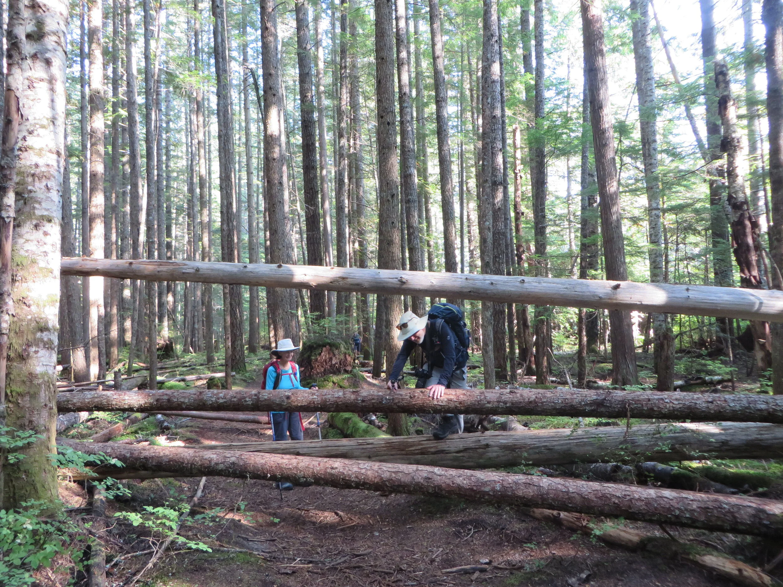 Obstacles on Lava Lake Loop, October 2020