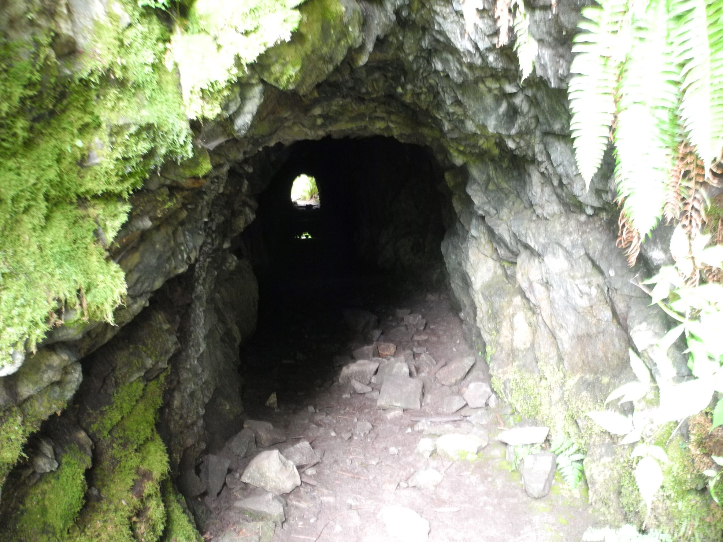 Flume Tunnel