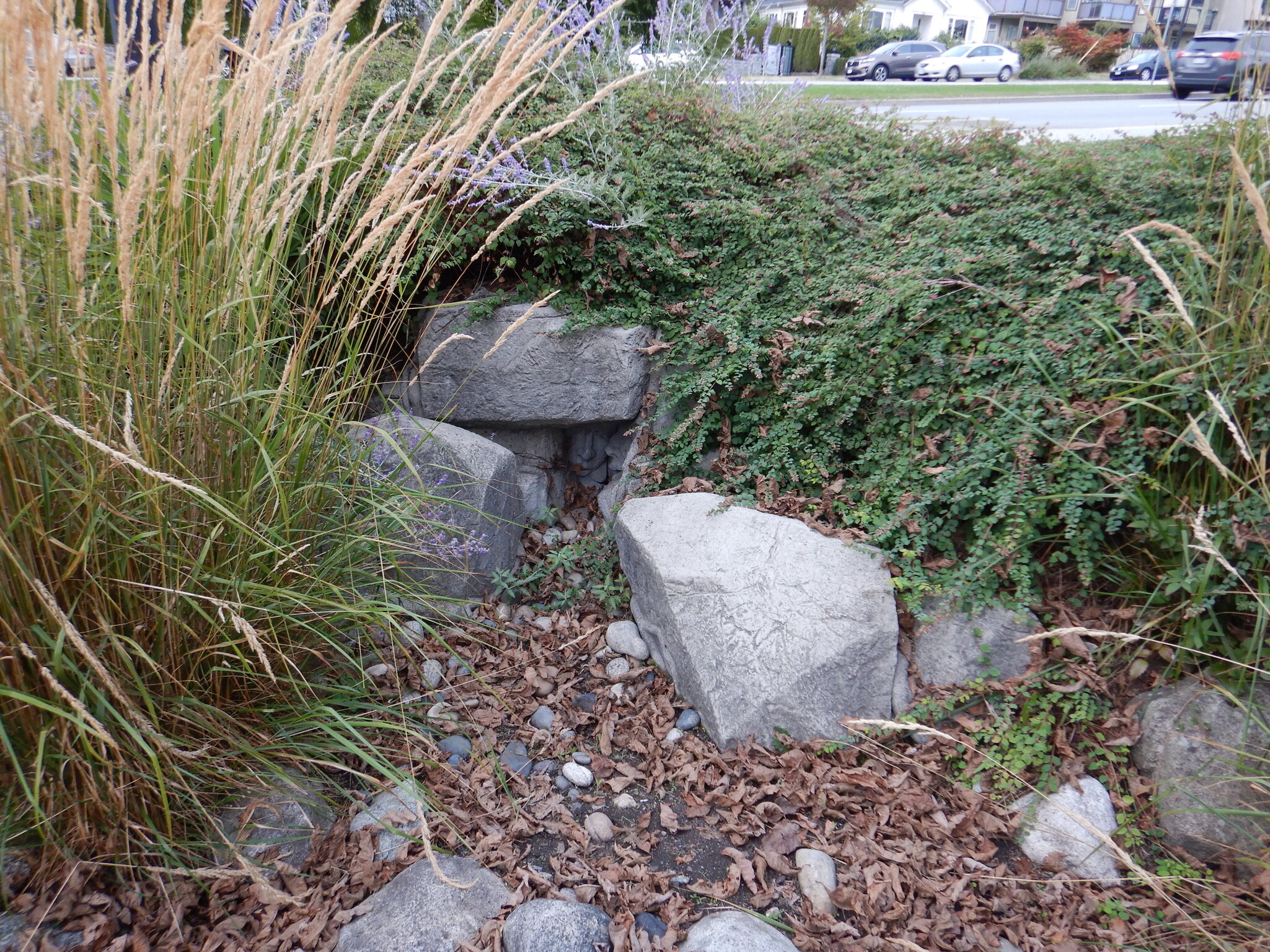 Babbling Brook on Keith