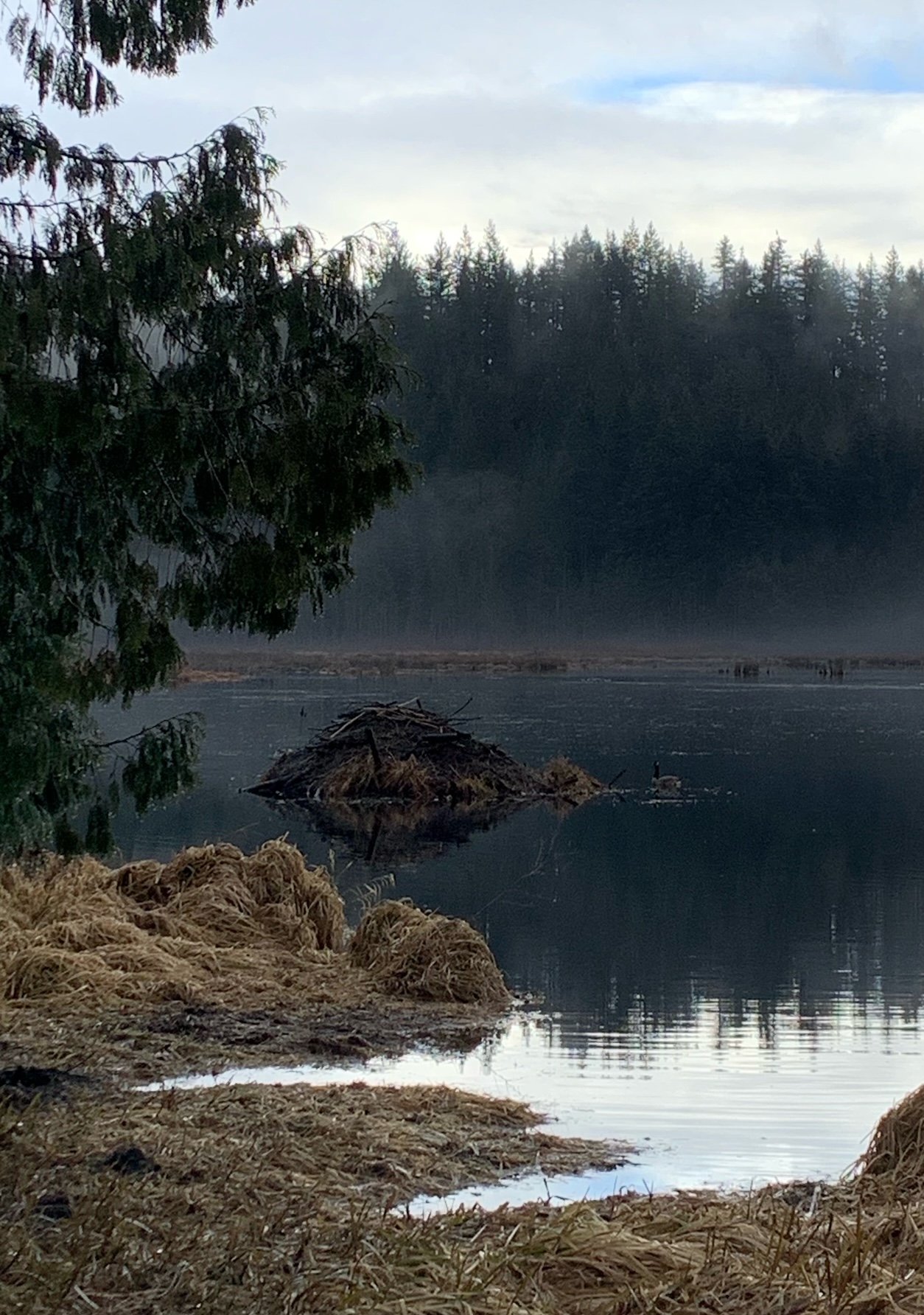 Minnekhada Regional Park Coquitlam