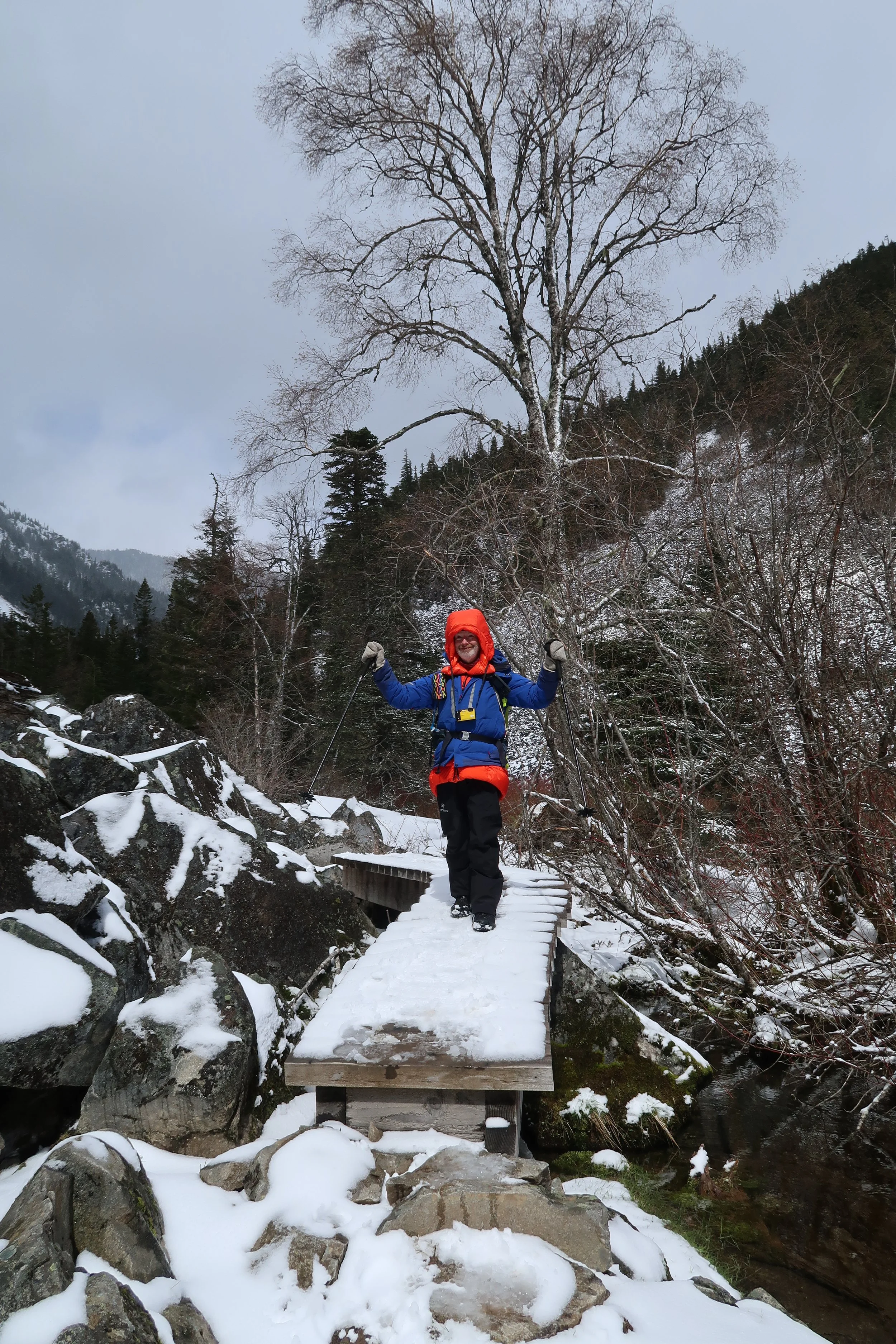 Please provide caption in the comments. Image by Tamsin