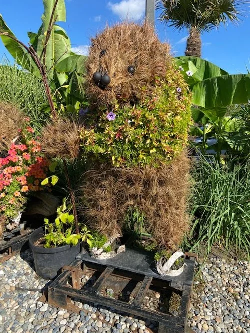 Cute bear at Eileen Dailly leisure Pool and Fitness Centre, image by Martina