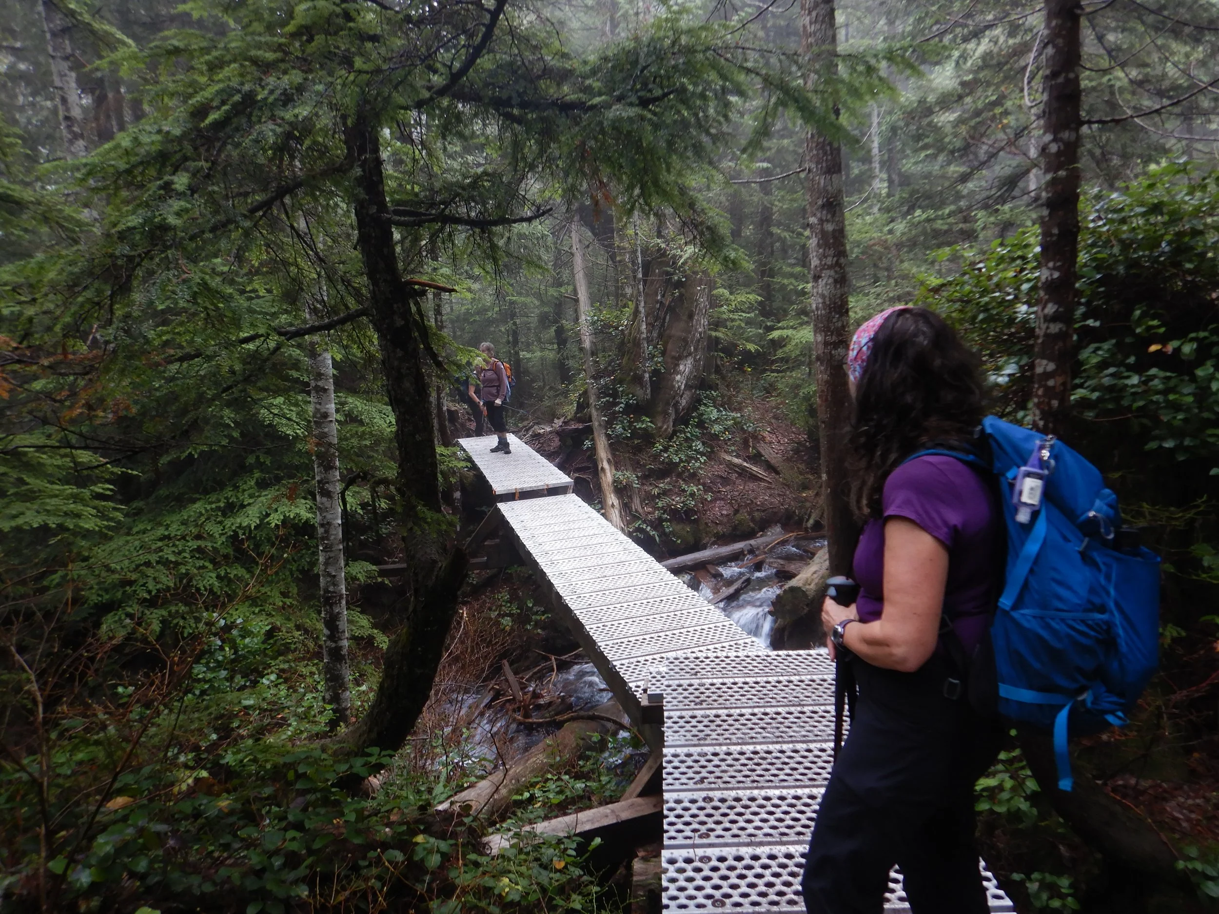 Duckboard bridge by Iain