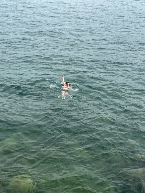 Some Took a Dip, image by Dave