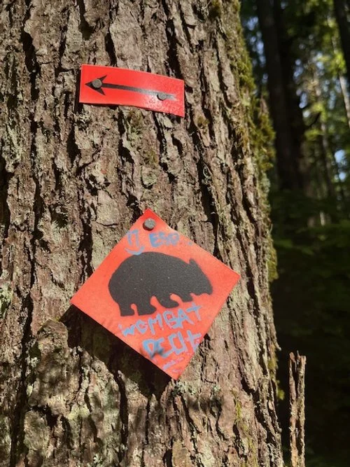 Wombat Waymark by Dave