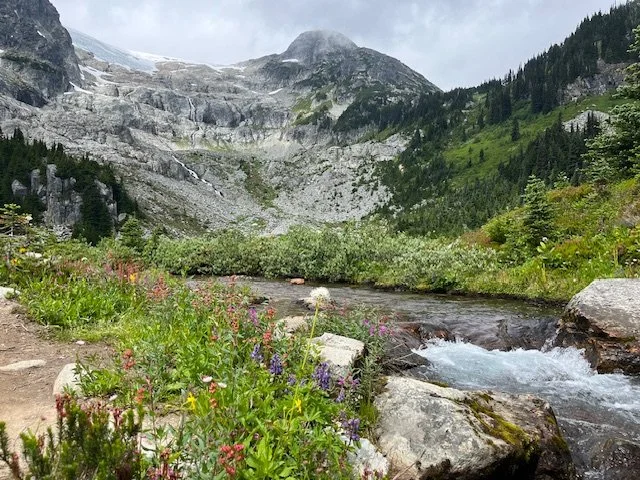 Flowers and Rocky Backdrop by Afsana