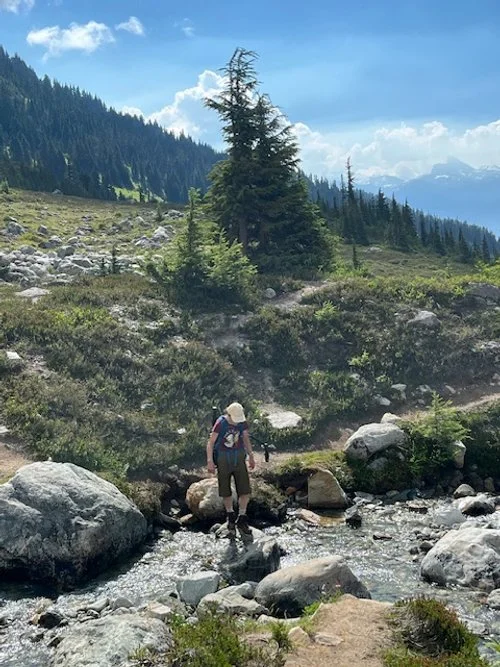 Eleanor Crossing a Stream by Afsana