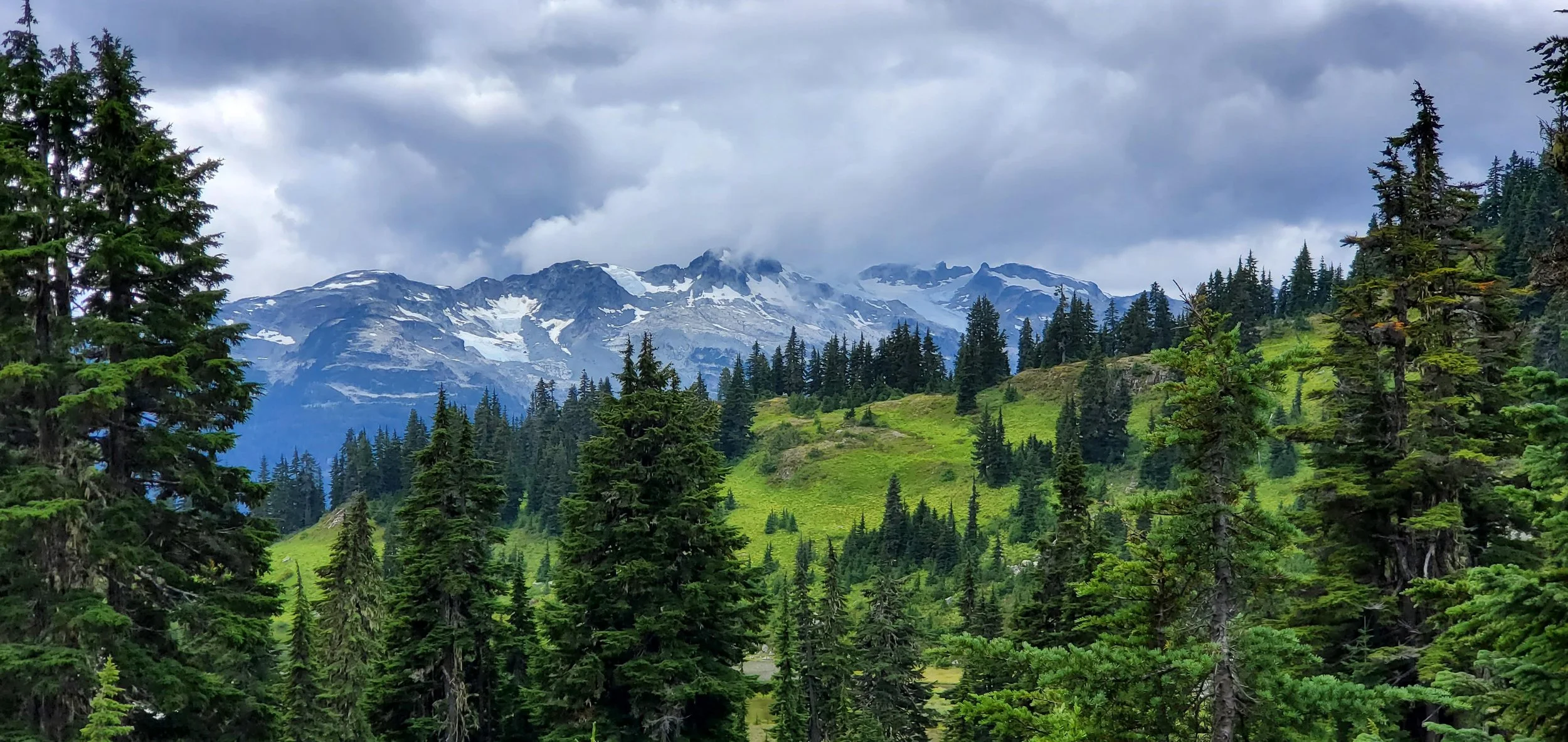 Distant Peaks by Michelle
