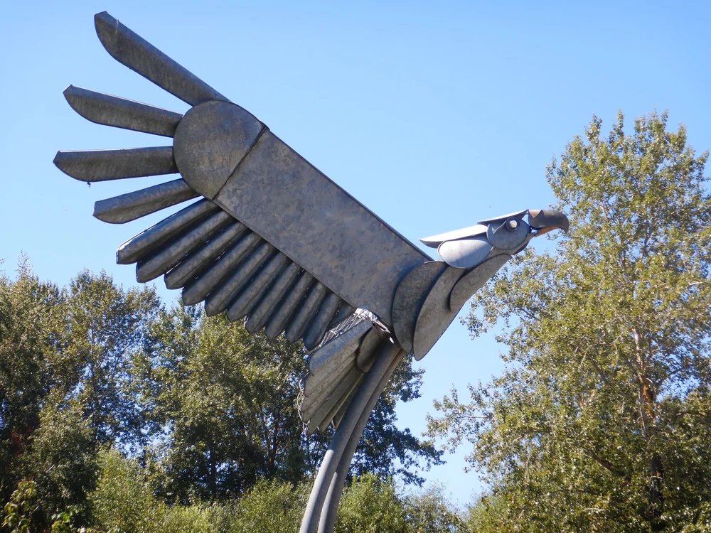 Another Eagle by Louise