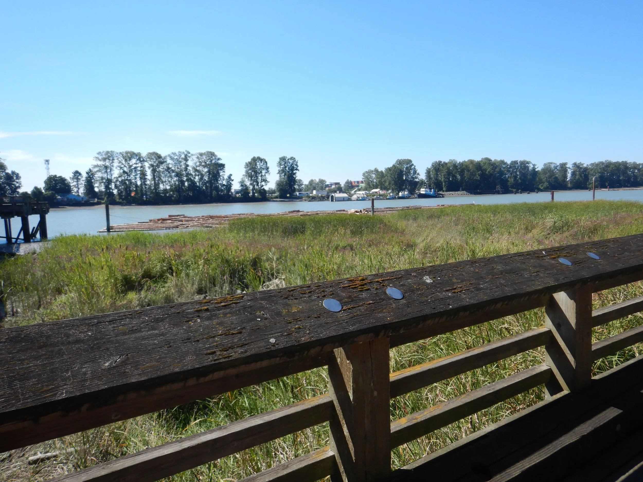 The Fraser from Romer's Burger Bar by iain