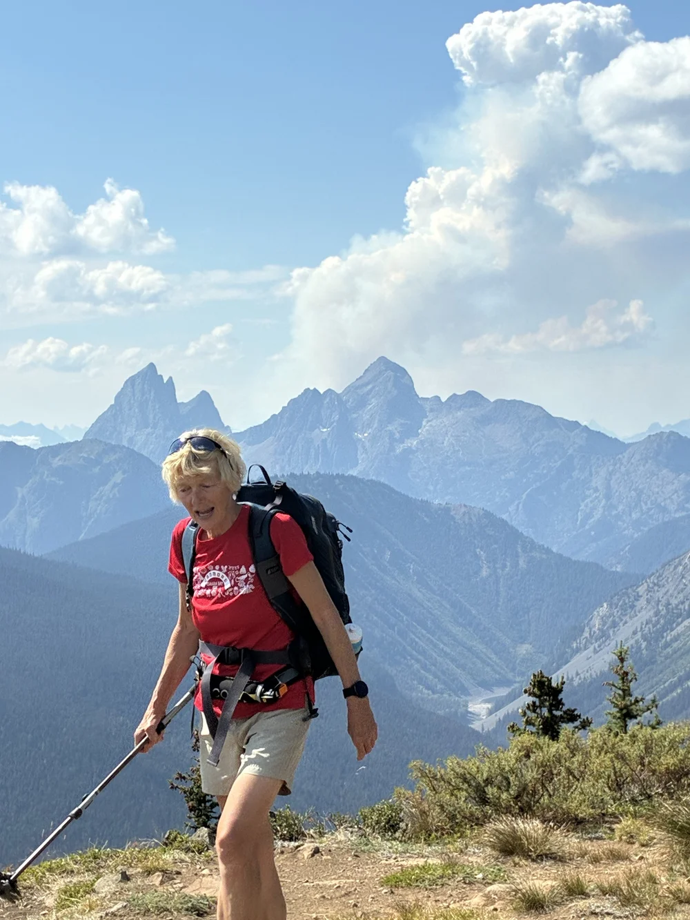 Adrienne on a Mission by Craig