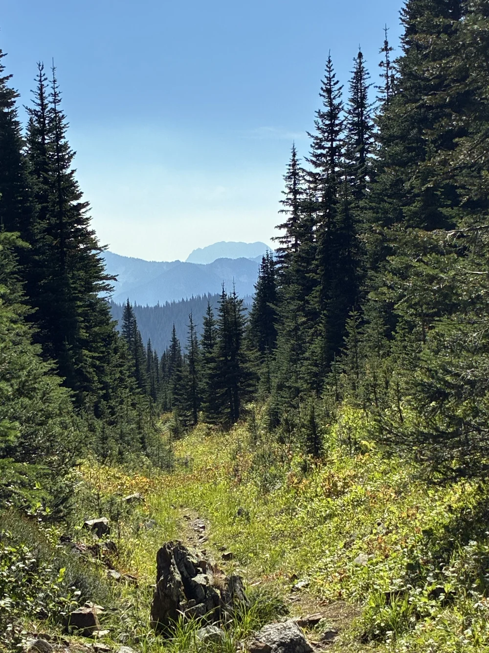 Looking South from Punchbowl Pass by Craig