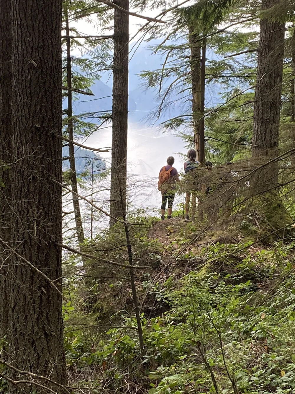 Group members Admiring the View over Burrard Inlet by Ramona