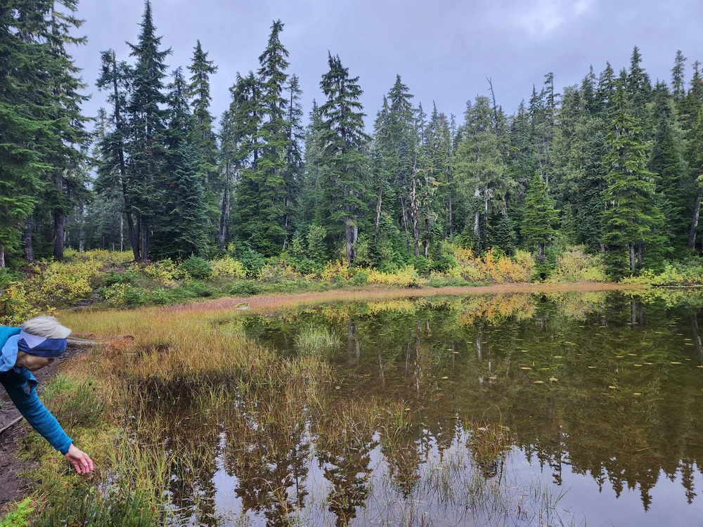 Martina Taking a Close Look at Lily Pad Lake by Louise
