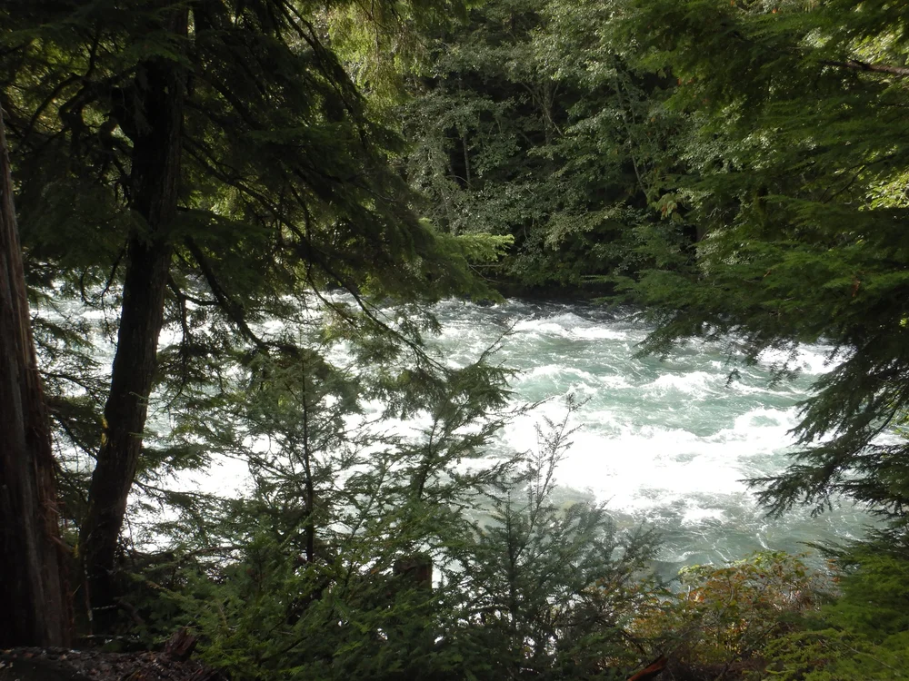 The Wild River by Iain