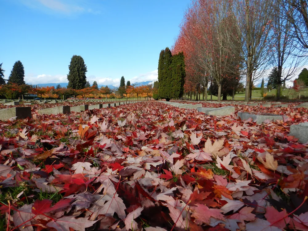 Fall at Mountain View by Iain