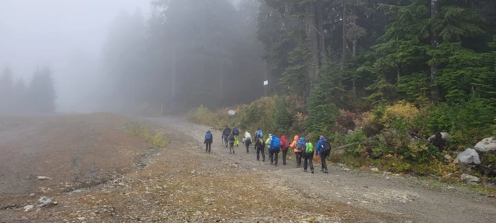 It was a cold and foggy morning by Rob