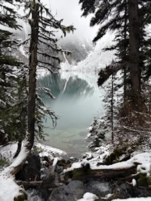 Lake through Trees by Jen