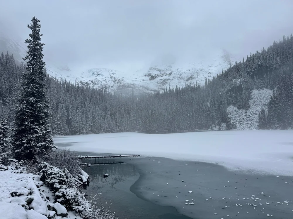 Frozen but Not Enough by Joanna