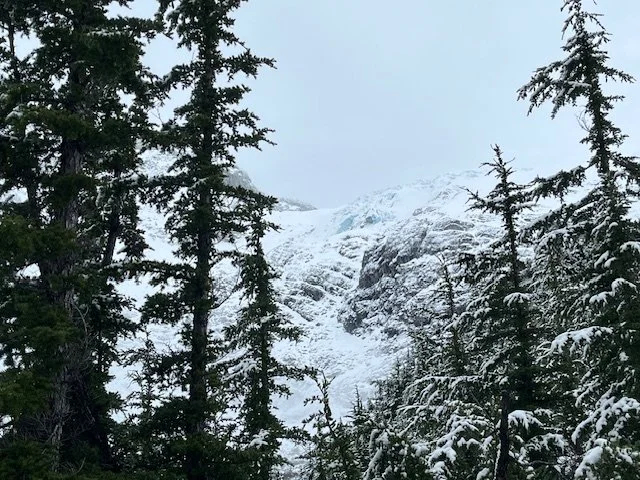 Distant Peaks Through the Trees by Afsana