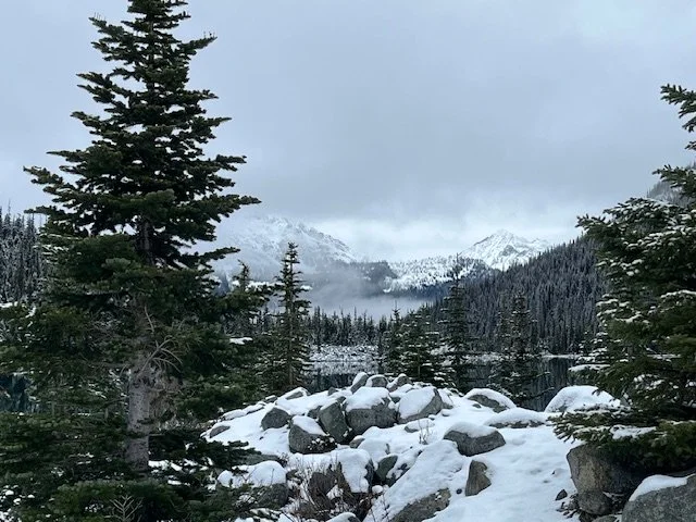 Rocky Trail by Afsana