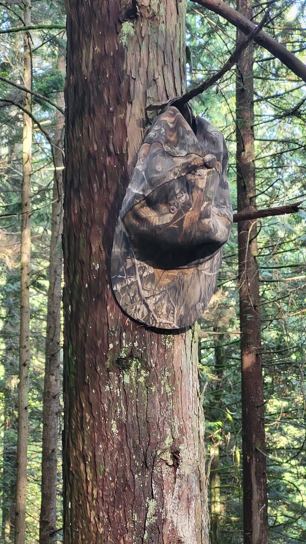 Craig’s I Spy by Maya