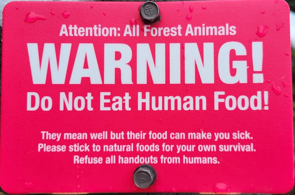 Do Not Eat Human Food by Maya
