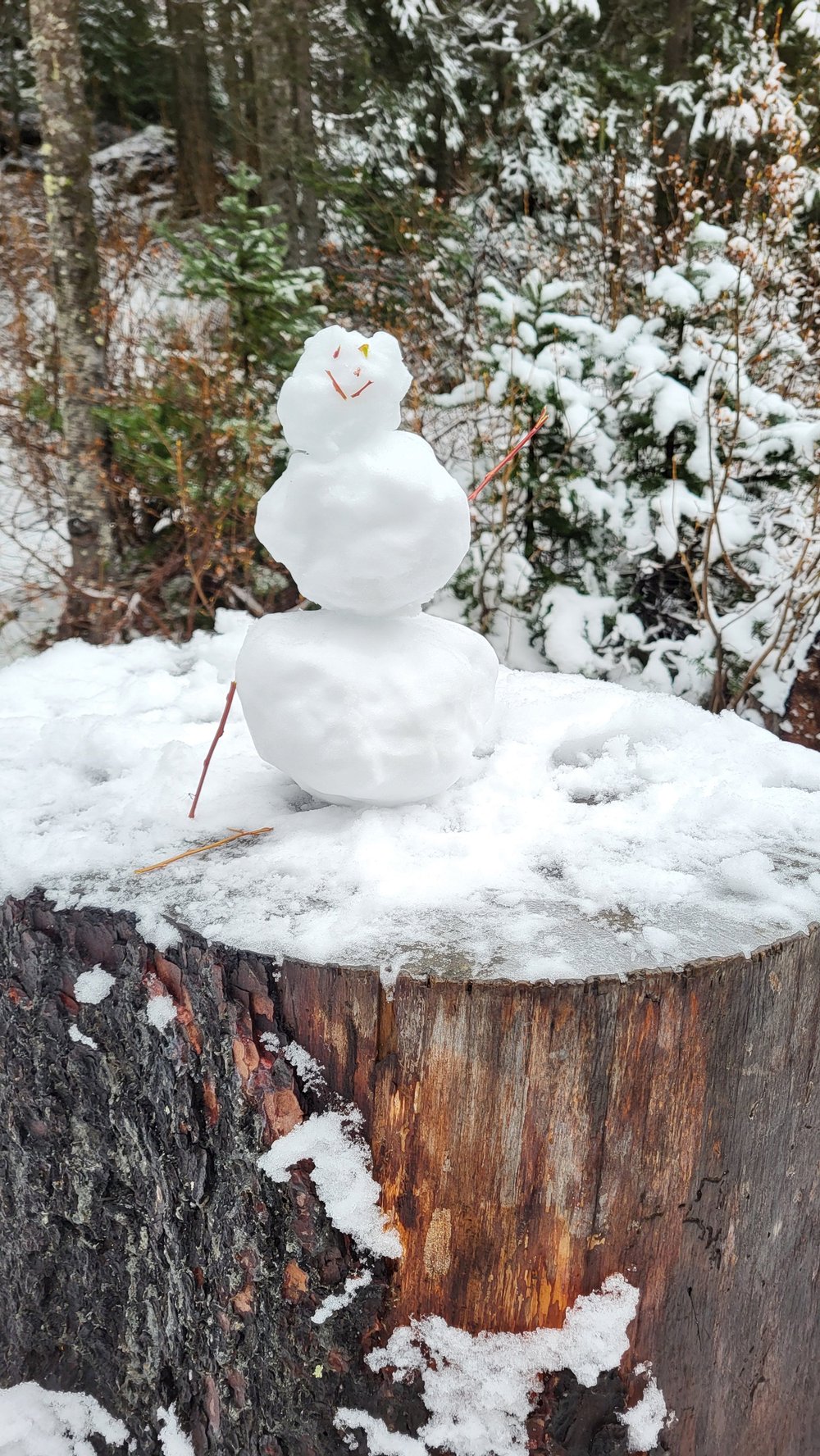 Little ‘Un by Maya