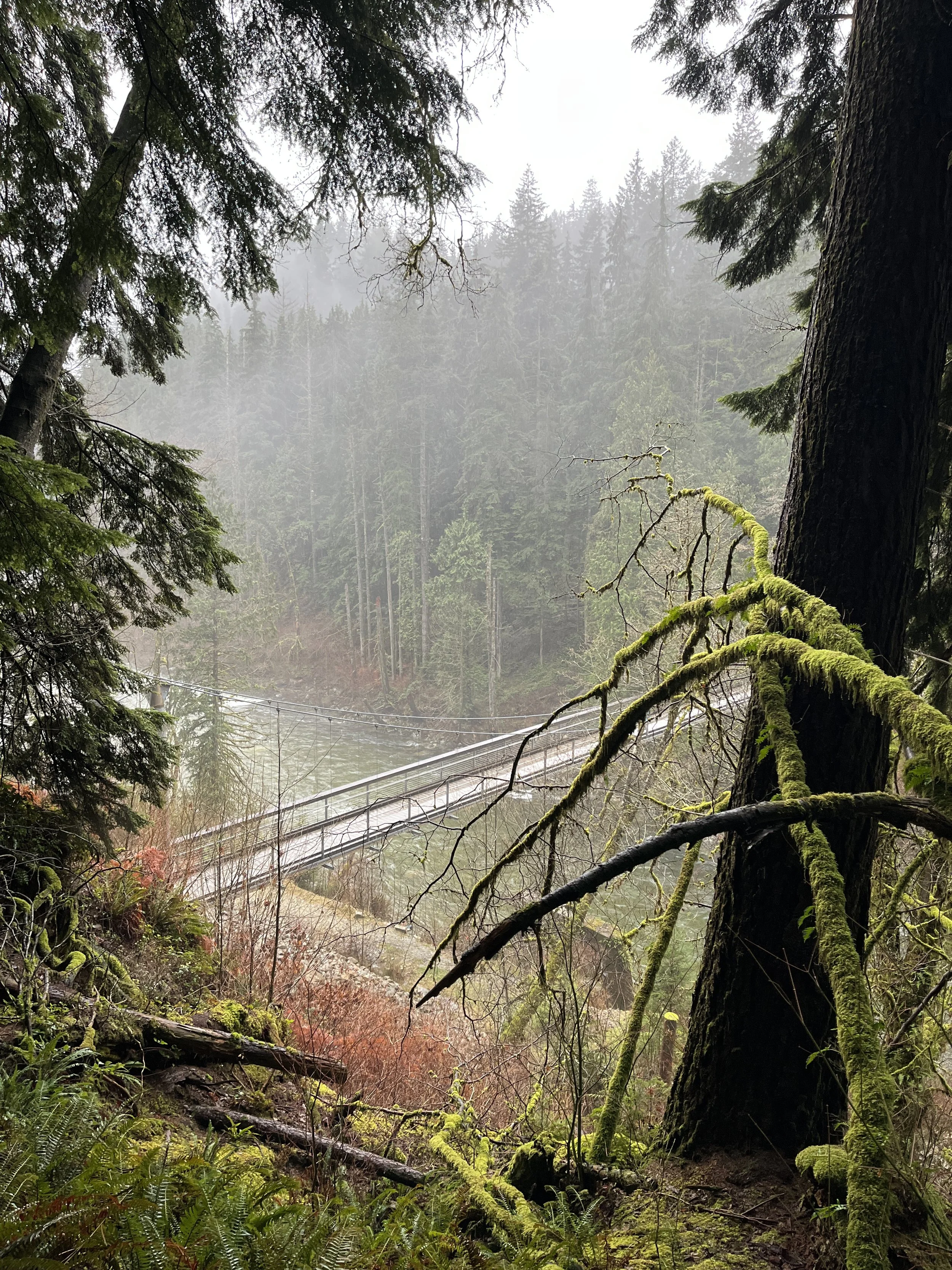 Seymour Ramble, January 31st 2026