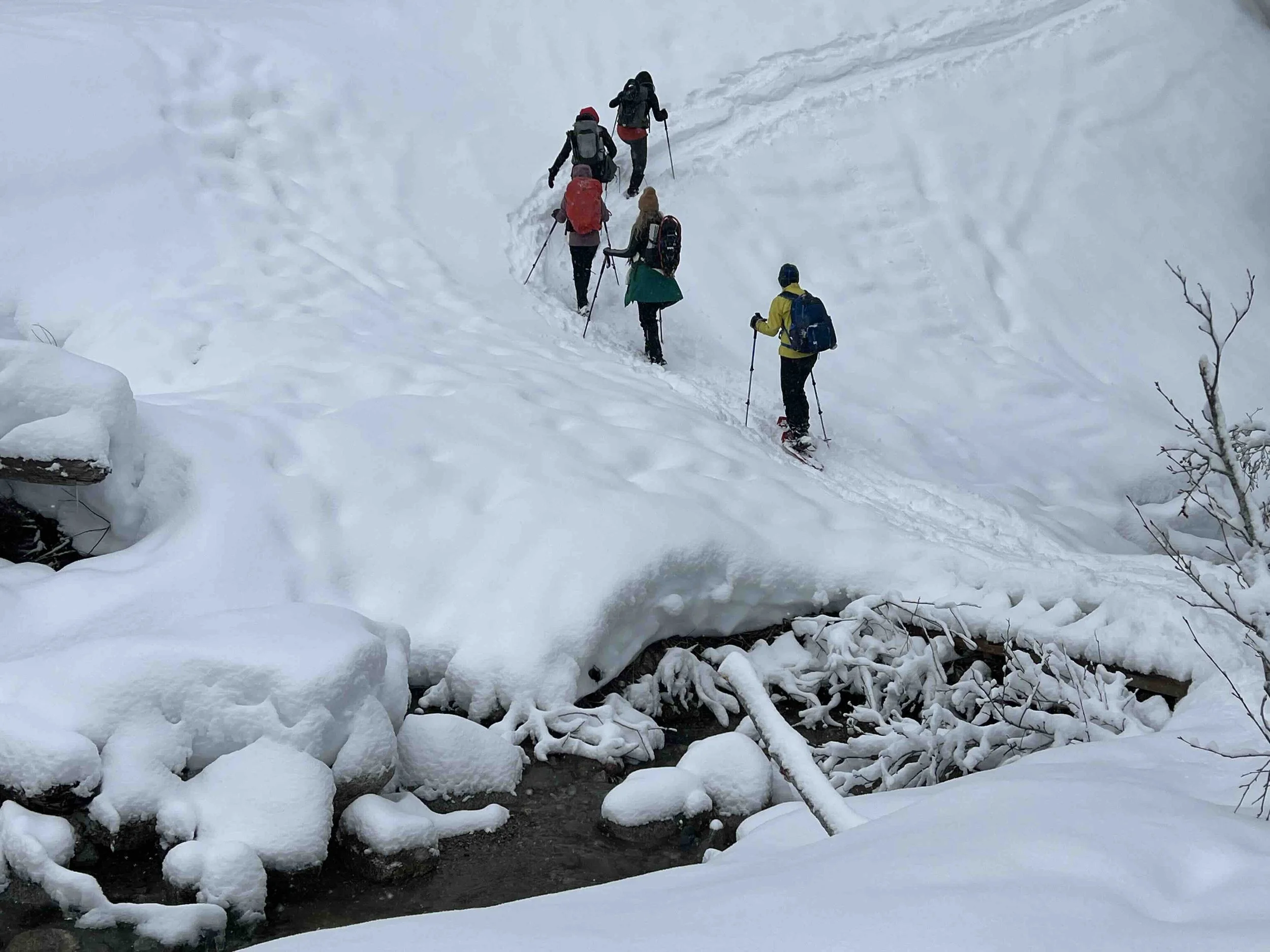 Zoa Peak, Feb 14, 2026
