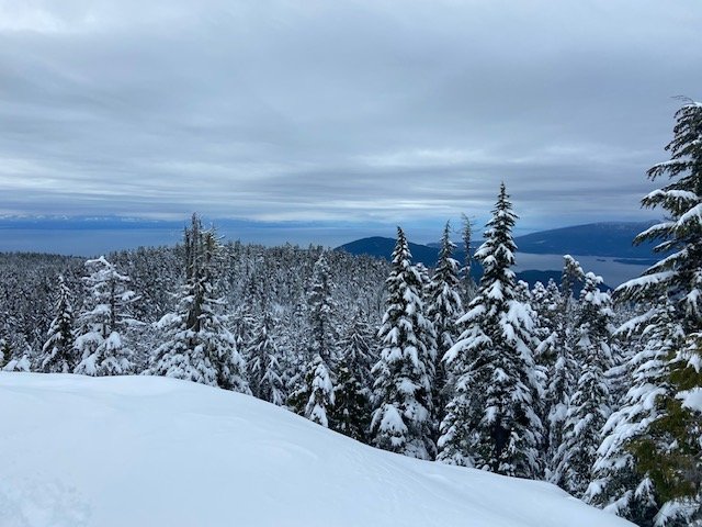 Eagle Bluffs, Saturday February 21st 2026