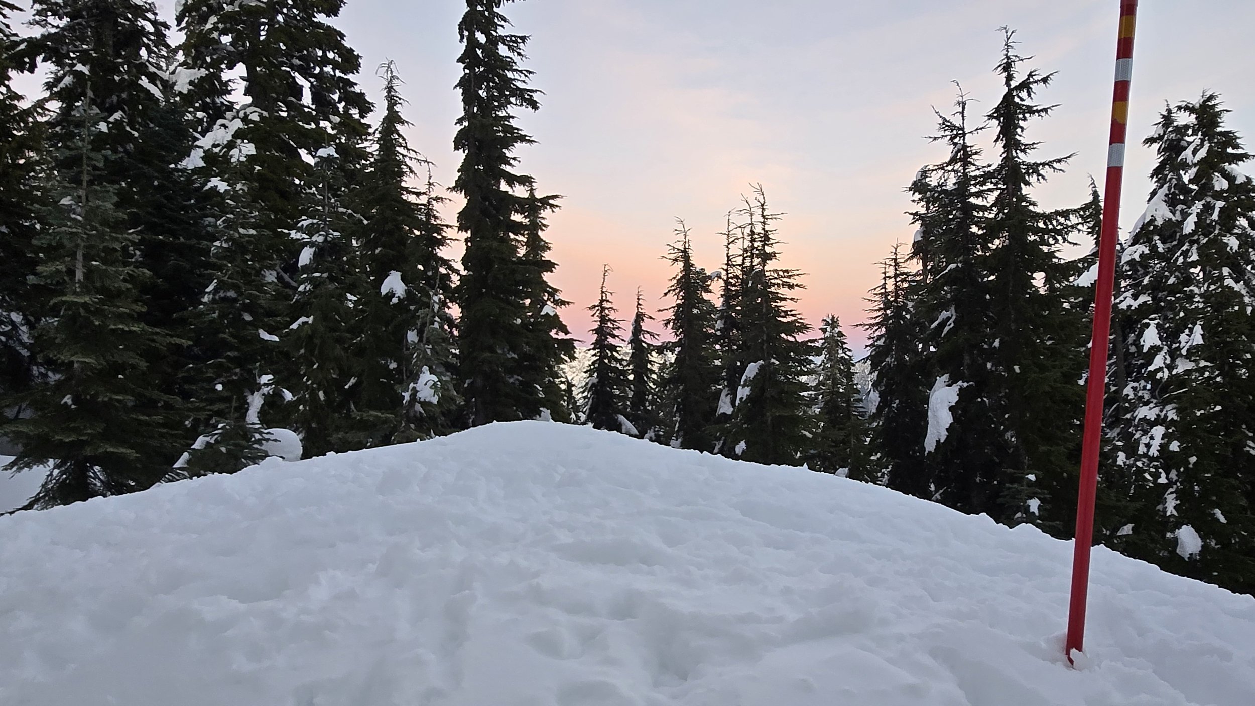 We Reached the North Pole by Brian