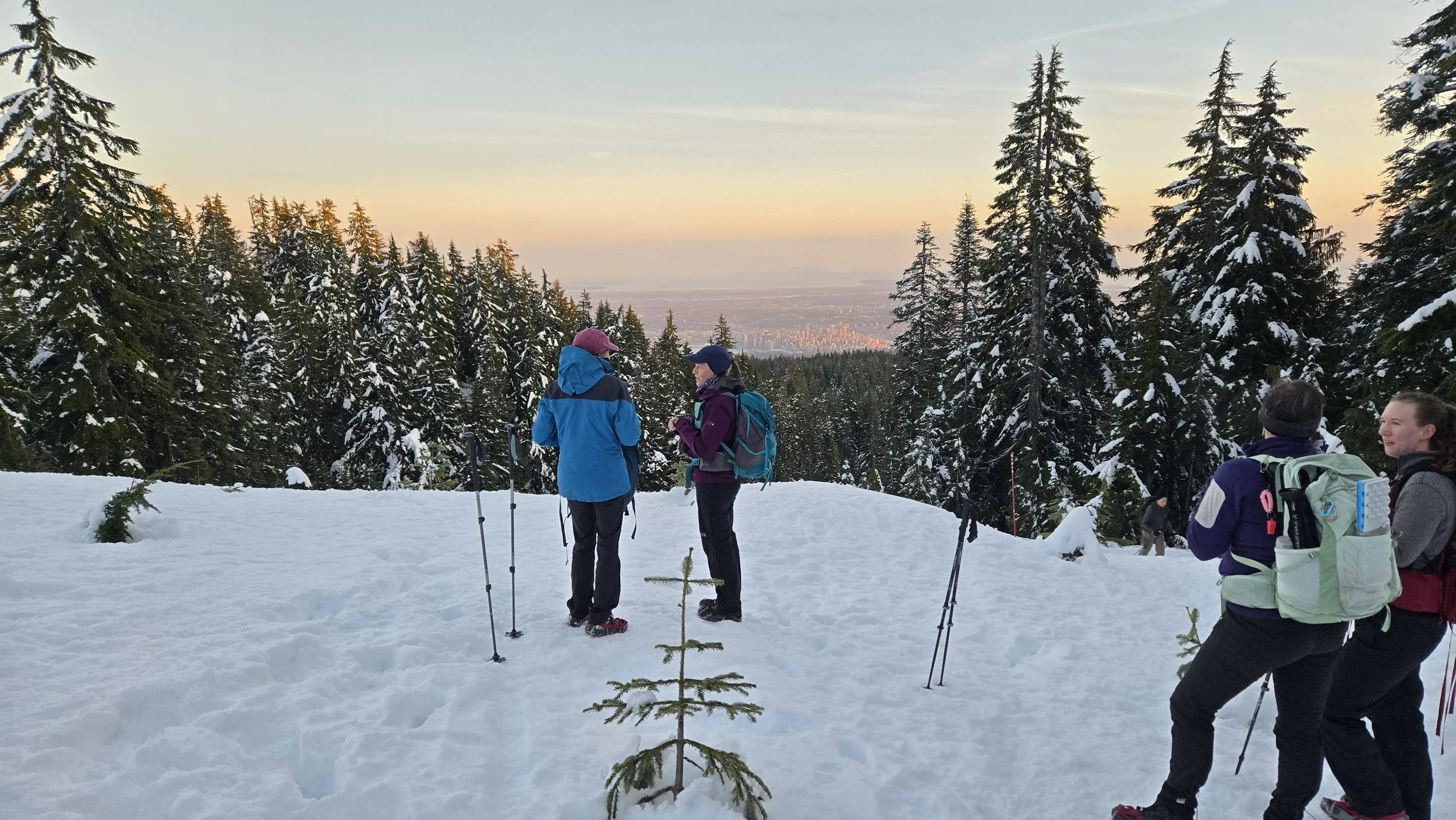 Pause for The View by Brian