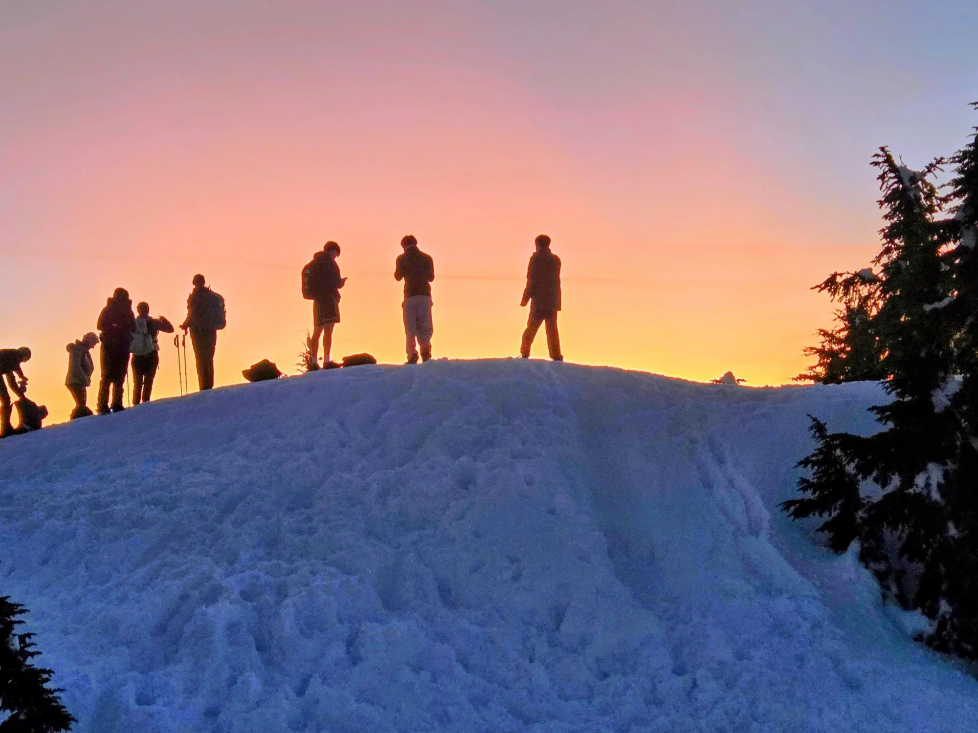 Hollyburn by Moonlight, Saturday February 28th 2026