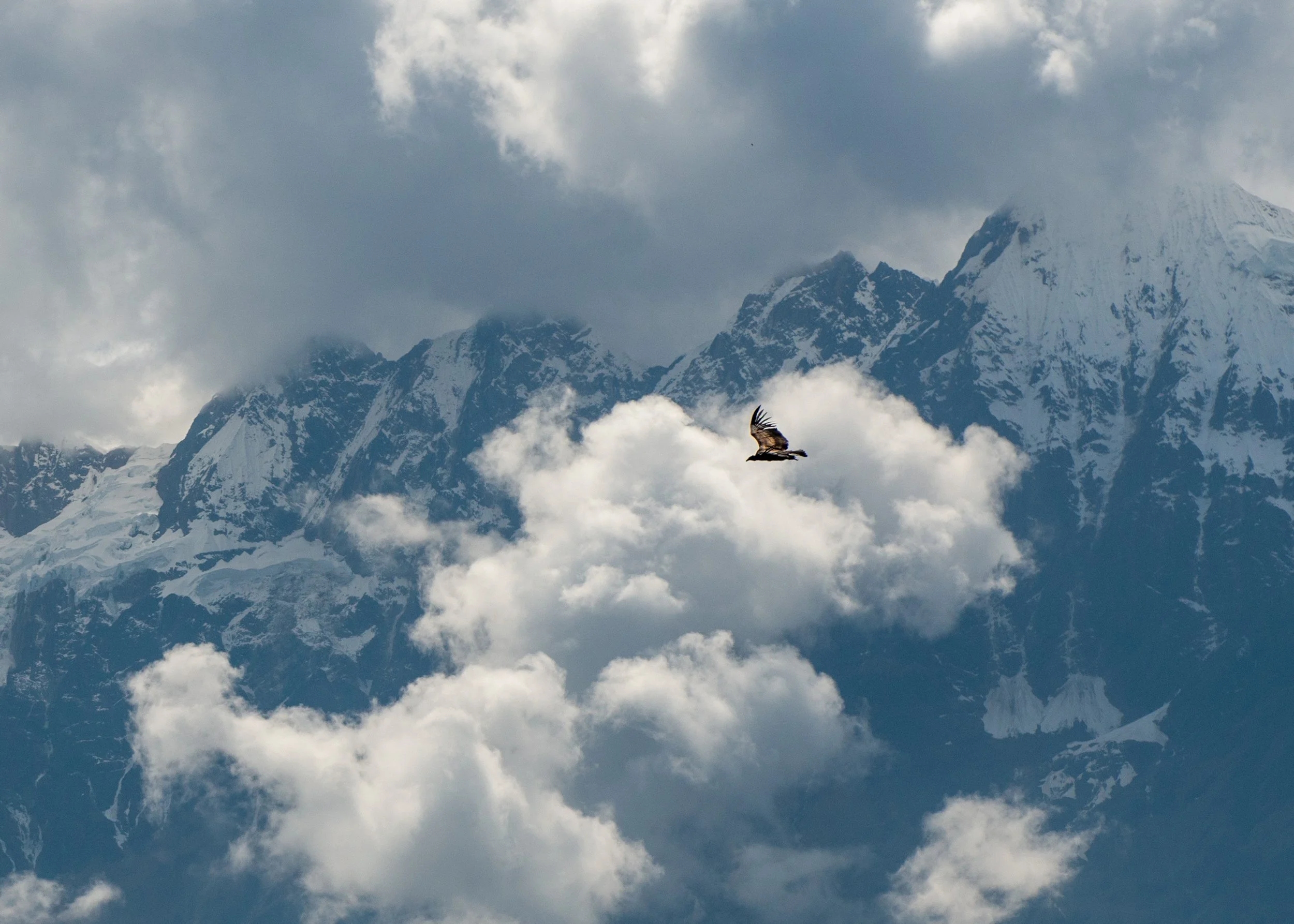 Evening Meeting Notes: The "Wanderlust Nine" at Sue’s Place March 14th 2026